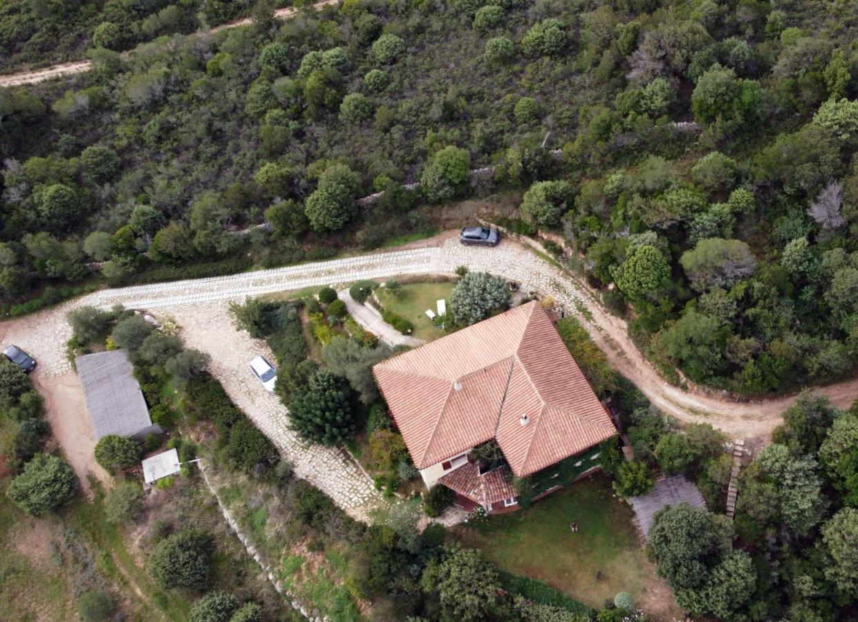B&B La Murichessa Arzachena Eksteriør bilde